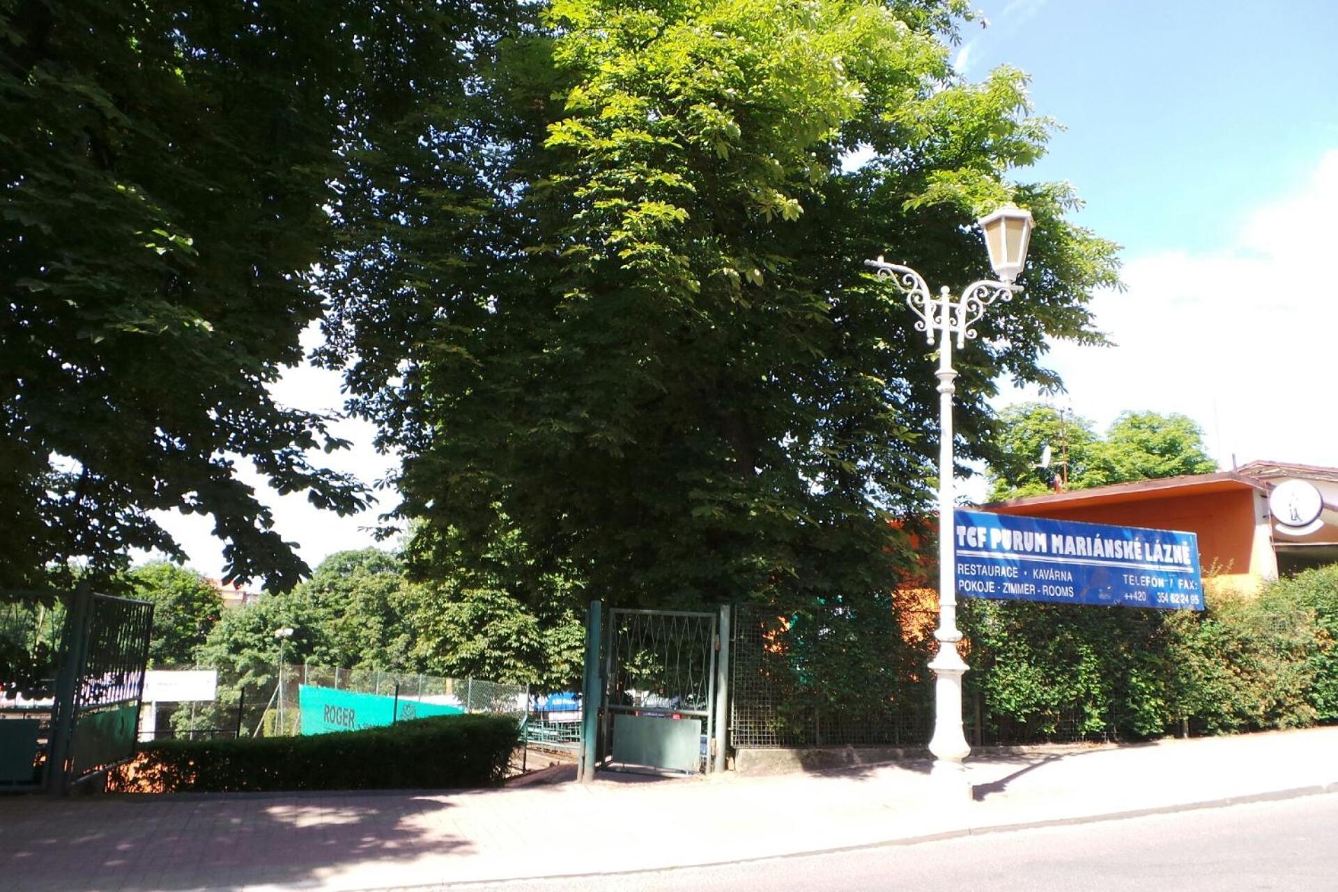Villa Shafaly Marianske Lazne Exterior foto