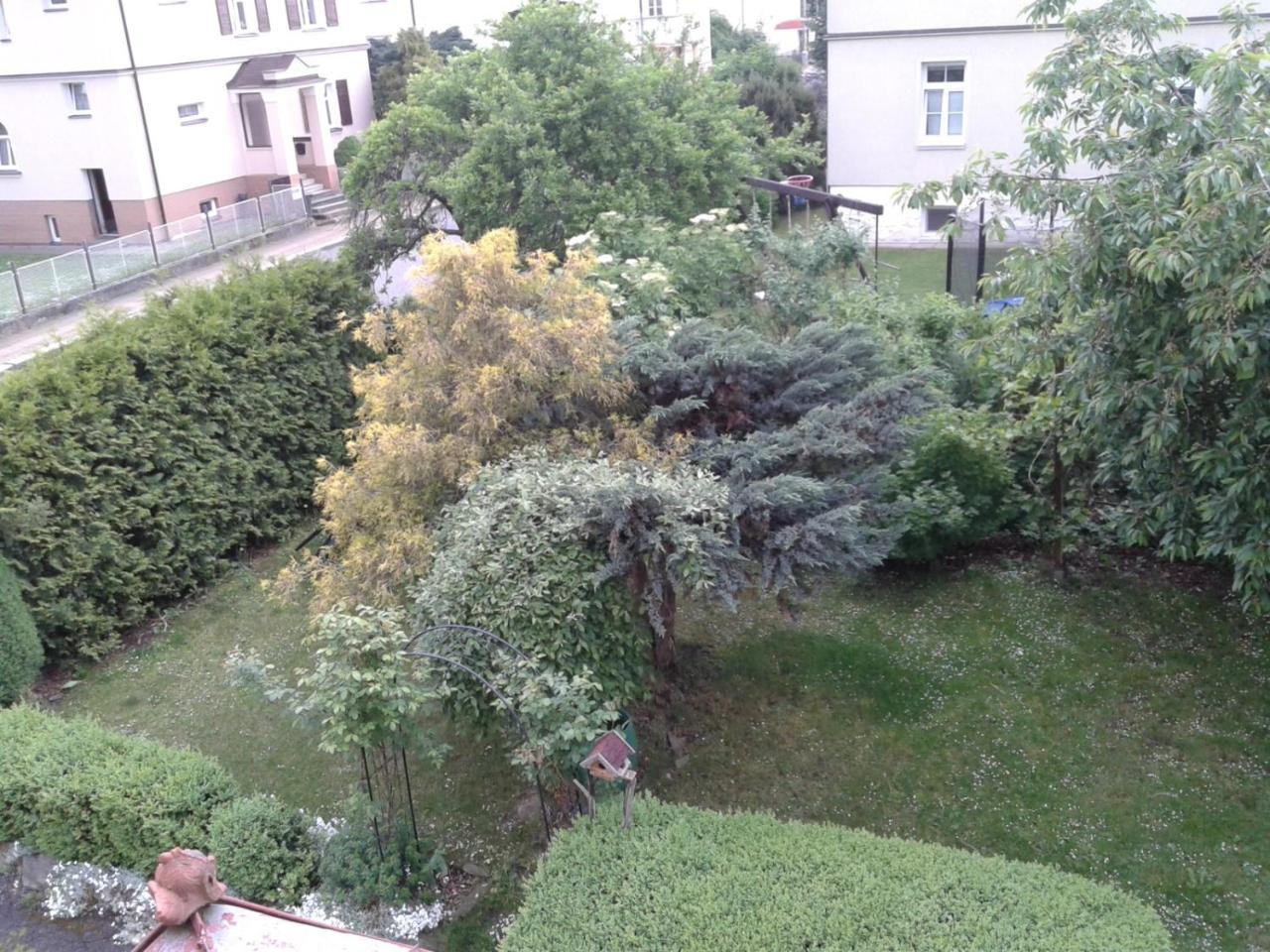 Villa Shafaly Marianske Lazne Exterior foto